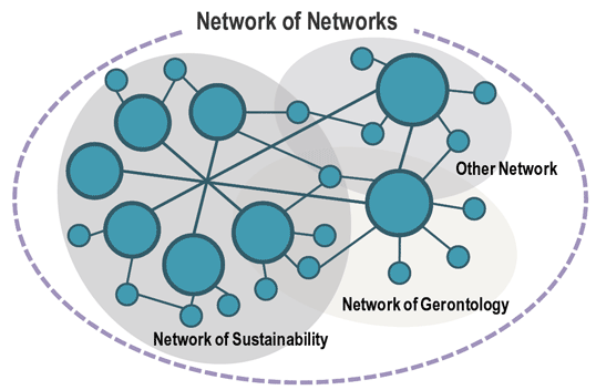 network-of-networks