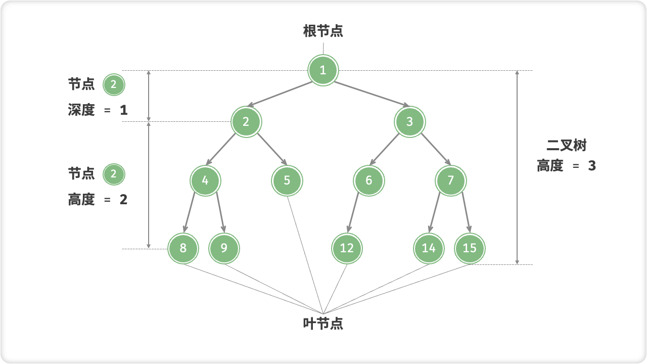 二叉树的常用术语